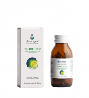 CLORODAR 40 CPS VEG 596MG | Artemisiaerboristeria.it - 2256