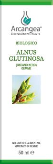 ALNUS GLUTINOSA 50 ML GEMMOD. BIO | Artemisiaerboristeria.it - 1863