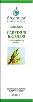 CARPINUS BETULUS 50 ML GEMMOD. BIO | Artemisiaerboristeria.it - 1866