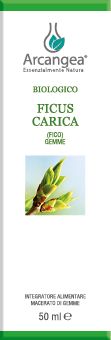 FICUS CARICA 50 ML GEMMOD. BIO | Artemisiaerboristeria.it - 1870