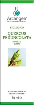 QUERCUS PEDUNCOLATA 50 ML GM BIO | Artemisiaerboristeria.it - 1877