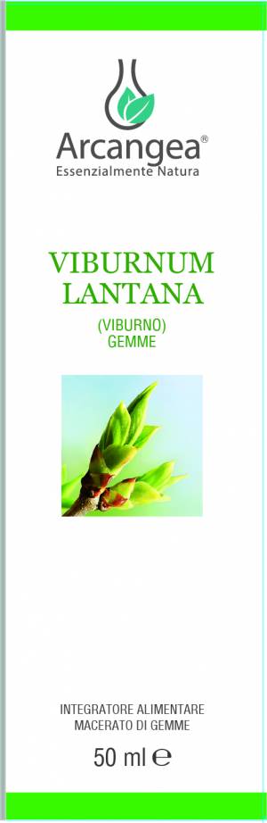 VIBURNUM LANTANA 50 ML GEMMOD. BIO | Artemisiaerboristeria.it - 1838