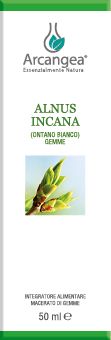 ALNUS INCANA 50 ML GEMMO BIO | Artemisiaerboristeria.it - 1842