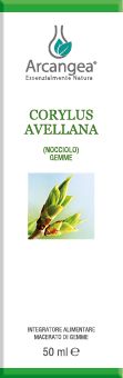 CORYLUS AVELLANA BIO 50 ML GEMMOD. | Artemisiaerboristeria.it - 1846
