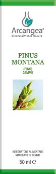 PINUS MONTANA 50 ML GEMMOD. | Artemisiaerboristeria.it - 1856