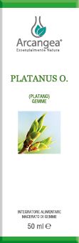 PLATANUS O. 50 ML GEMMOD. | Artemisiaerboristeria.it - 1858