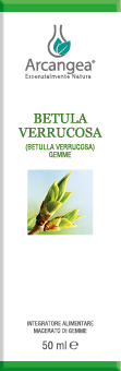 BETULA VERRUCOSA 50 ML GEMMOD.BIO| Artemisiaerboristeria.it - 1895