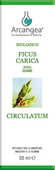 CIRC. FICUS CARICA 50 ML CIRCULATUM BIO | Artemisiaerboristeria.it - 1900