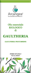 GAULTHERIA BIO 10 ML OLIO ESSENZIALE | Artemisiaerboristeria.it - 1717