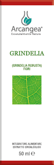 GRINDELIA 50 ML ESTRATTO IDROALCOLICO | Artemisiaerboristeria.it - 1545