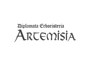 Artemisia